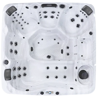 Avalon EC-867L hot tubs for sale in Taylor